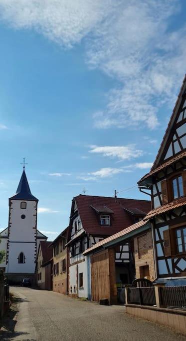 Alsace Bas-Rhin Logis Independant Avec Piscine Privee Διαμέρισμα Alteckendorf Εξωτερικό φωτογραφία
